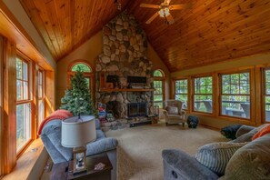 TV, fireplace, books