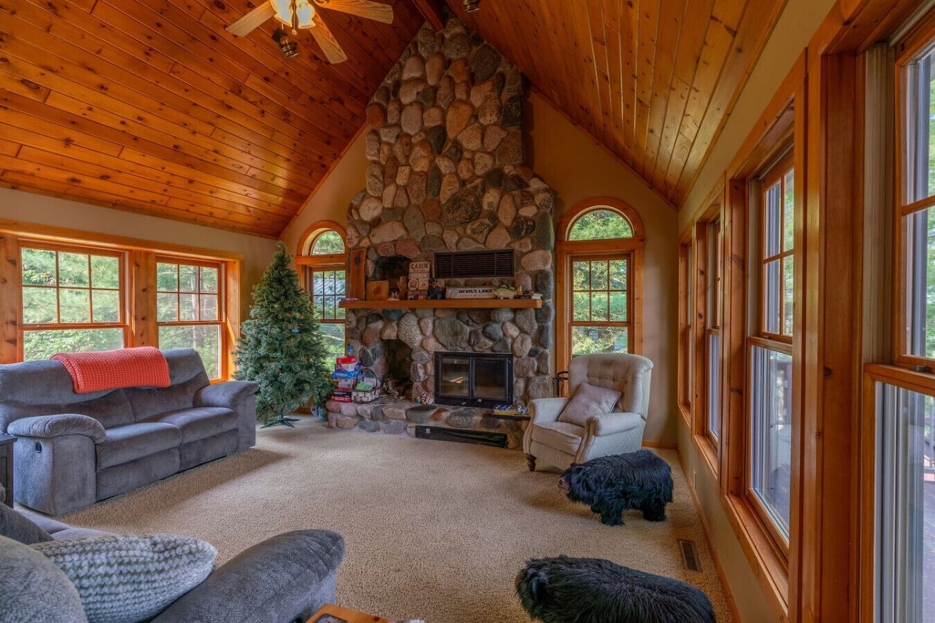 TV, fireplace, books
