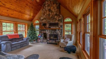 Televisión, chimenea y libros