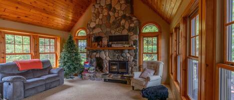 Televisión, chimenea, libros