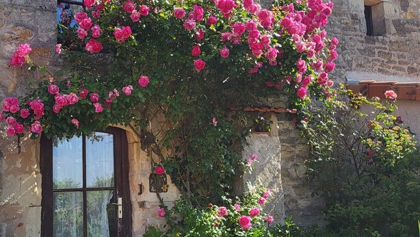 Edificio de piedra rústica con jardín que incluye flores rosas y un banco de madera.