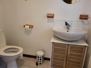 A bathroom with a toilet, a sink, a mirror, and a cabinet.