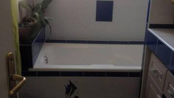 Ducha, secador de pelo, toallas, jabón