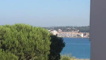 Vista desde la propiedad