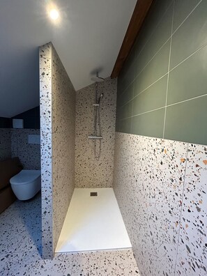 Shower, hair dryer, towels, toilet paper - House 1880 (Annonay)