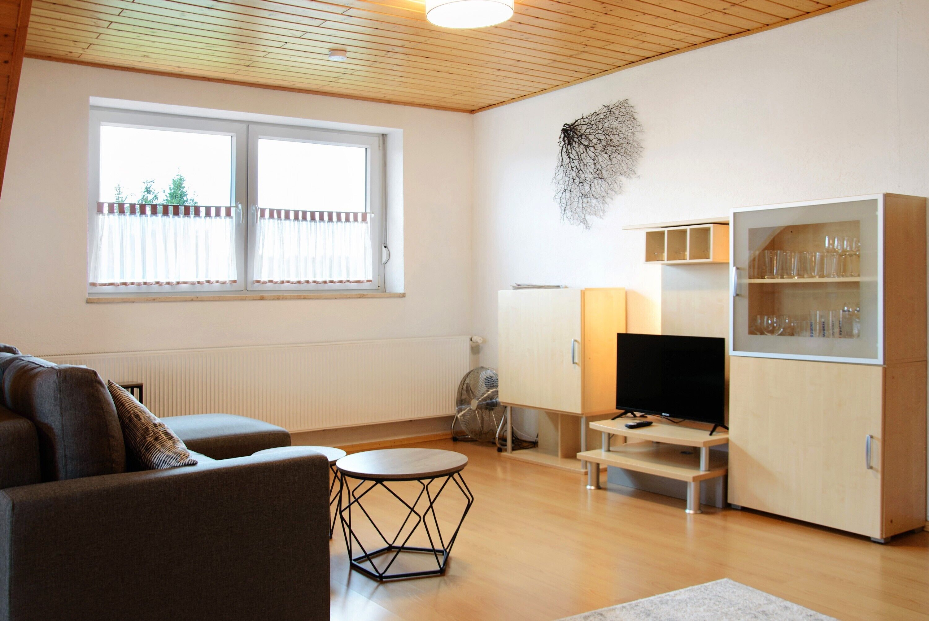 Fernseher