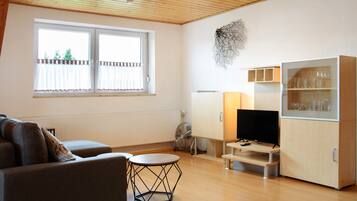 Fernseher