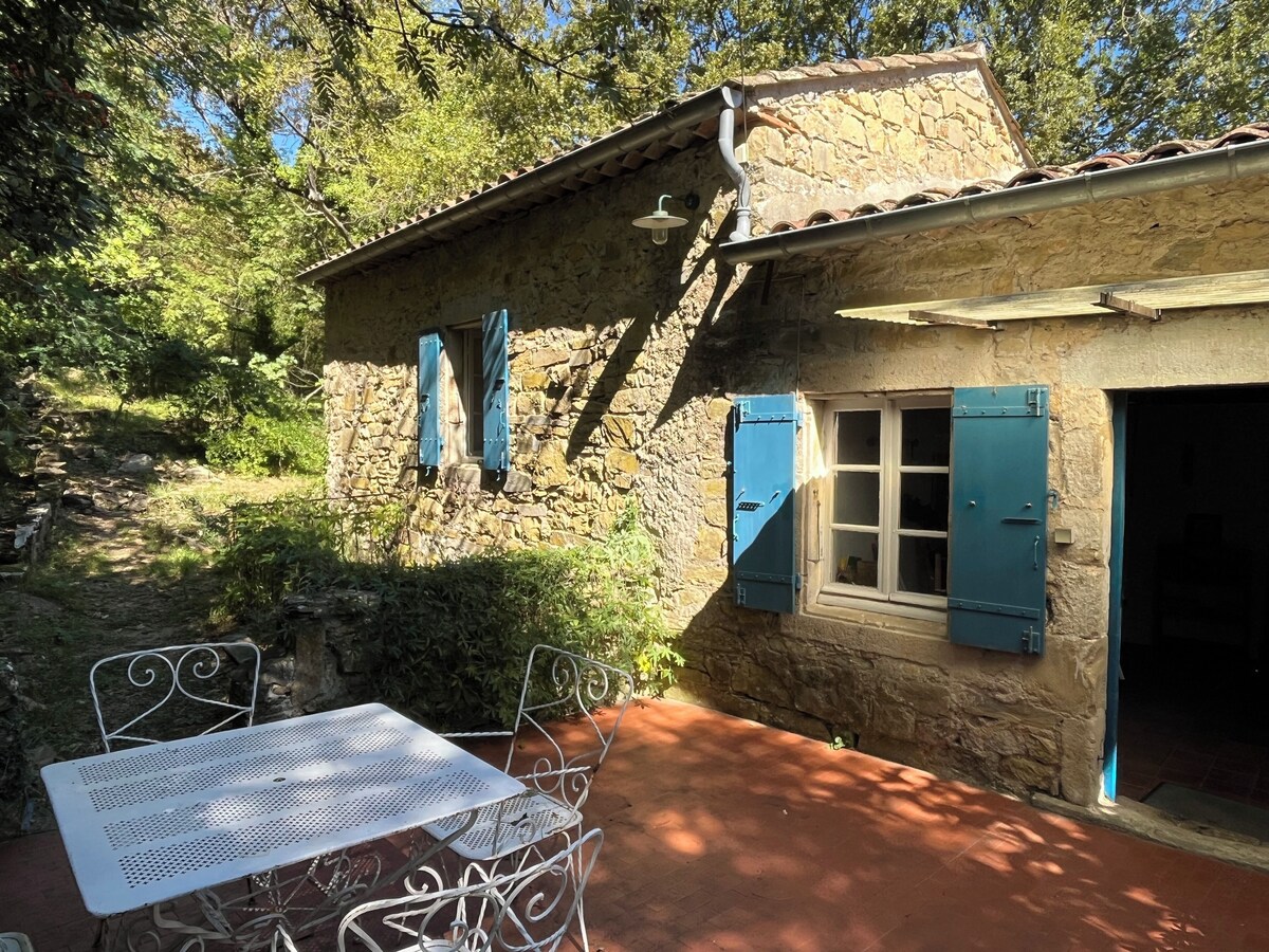 Imagen de perfil del propietario o de la propietaria