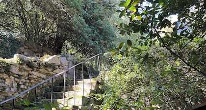 Maison des Marcassins à l'orée du bois