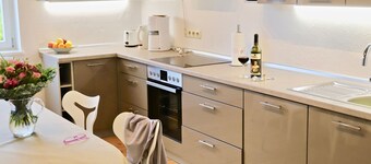 Spacious 200 sqm apartment in villa with garden and WiFi in wonderful Dresden