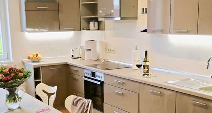 Spacious 200 sqm apartment in villa with garden and WiFi in wonderful Dresden