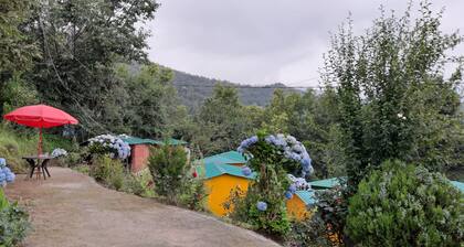 Kedar Resorts