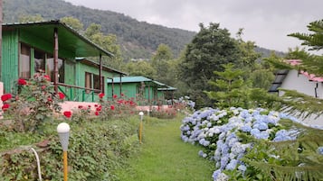 Jardín