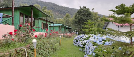 Jardín