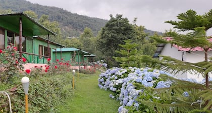 Kedar Resorts