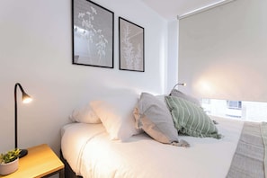 2 bedrooms, desk, iron/ironing board, WiFi