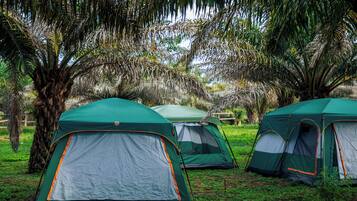Tente Ăconomique, dortoir mixte, vue lac | Literie hypoallergĂ©nique, dĂ©coration personnalisĂ©e