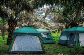 エコノミー テント 男女共用ドミトリー レイクビュー | 低刺激性寝具、客室ごとに異なる装飾、客室ごとに異なるインテリア、デスク