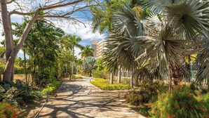 A paved pathway flanked by lush greenery and palm trees, leading towards a building in the distance. - Vista Natura 54 | Beach Access | Rooftop Deck | Gated Community | Pool & Hot Tub (Nuevo Vallarta)