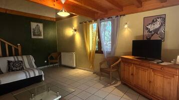 Télévision, baby-foot, table de tennis de table, livres