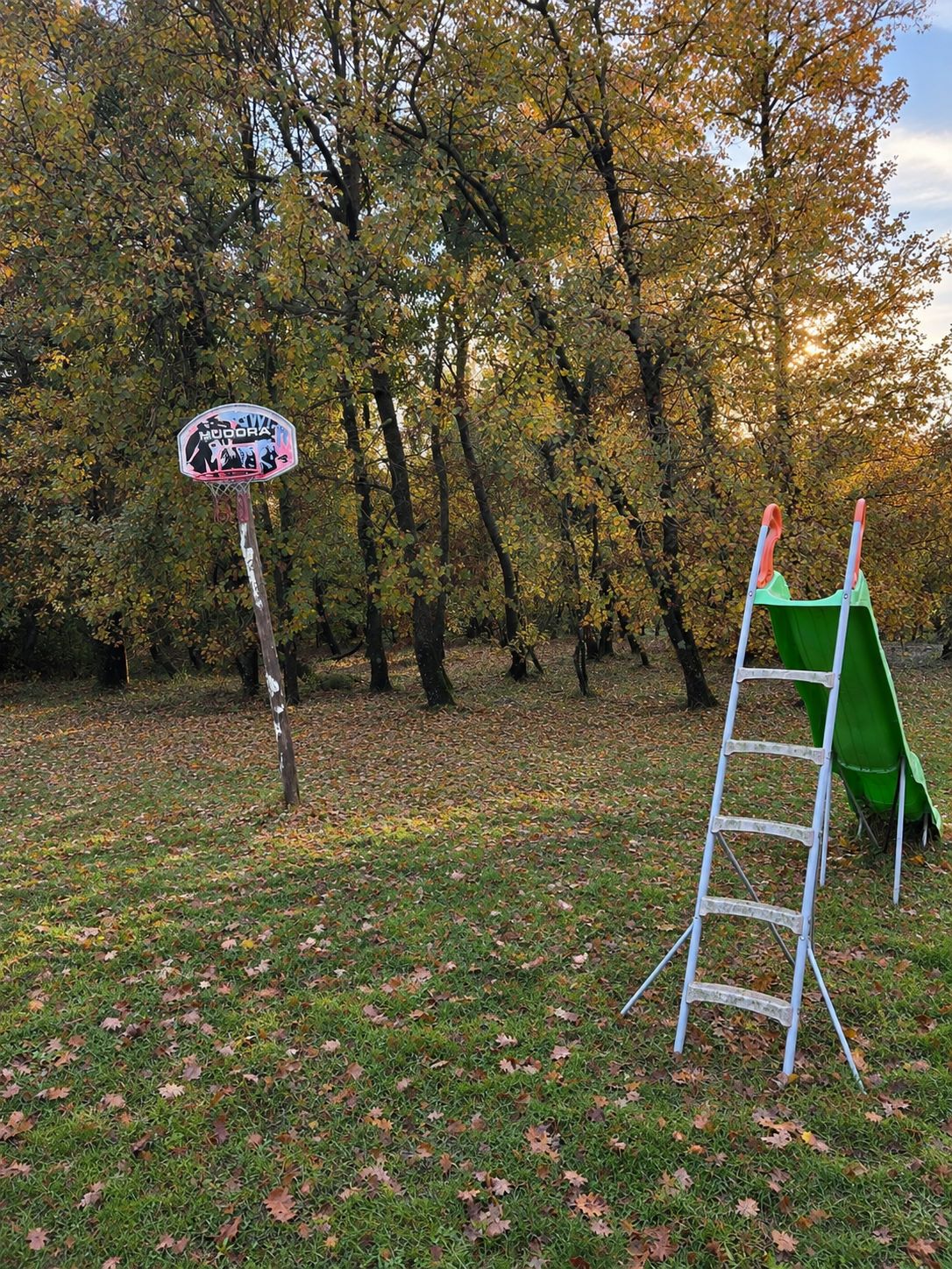 Un espace de jeux avec un toboggan vert et une échelle en métal, entouré d’arbres aux feuilles d’automne.