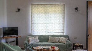 Un salón con un sofá verde, una mesa de centro de madera, un televisor sobre un mueble bajo y una ventana con cortinas estampadas.