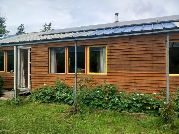 Exteriör