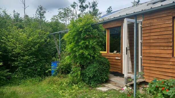 Een klein houten vakantiehuisje met een geopende deur, omringd door weelderige begroeiing en een blauwe vat.