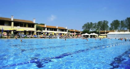 Apartments nestled in the pine forest of Rosolina Mare, just a few steps from the sea.