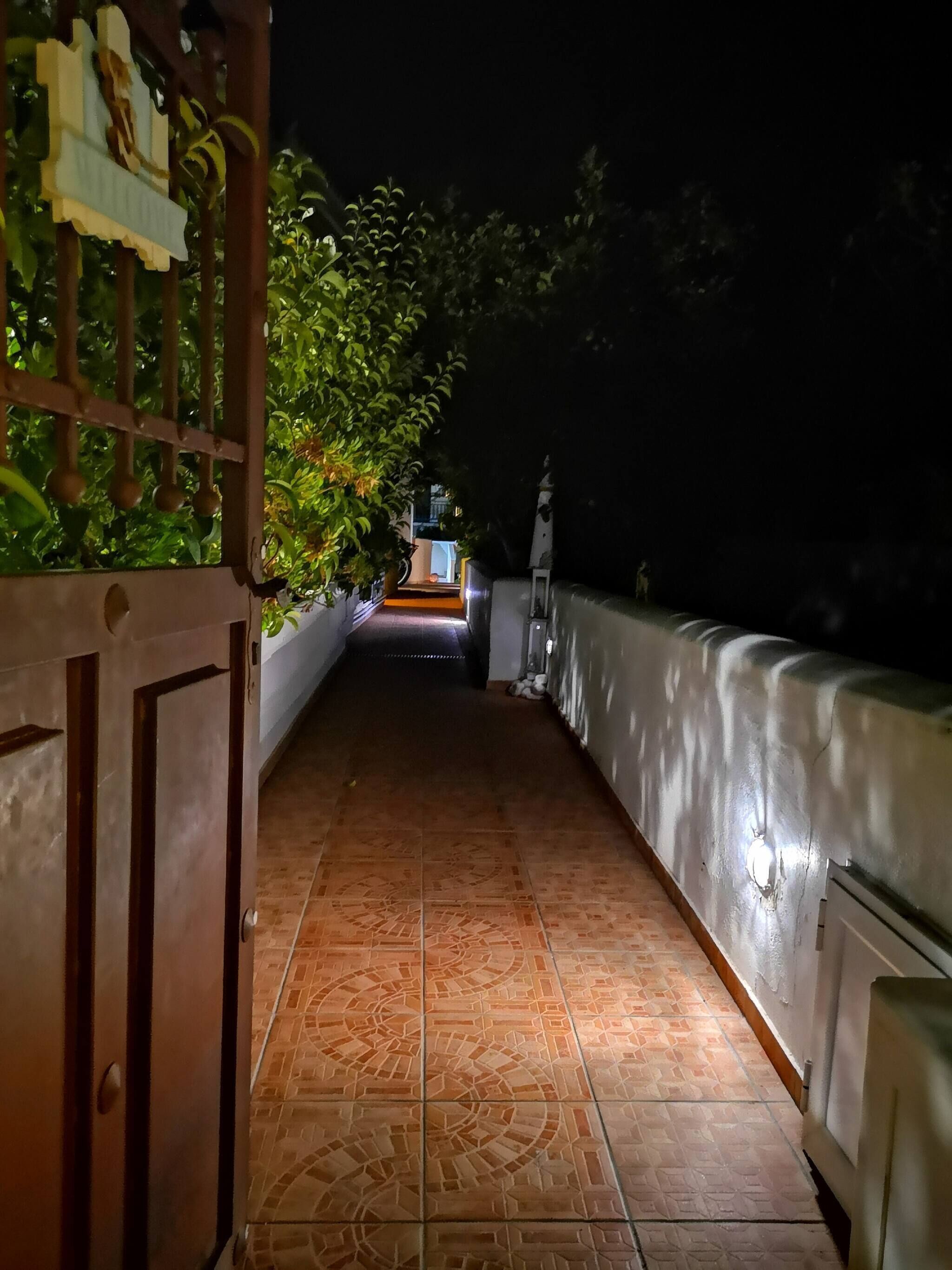 حديقة