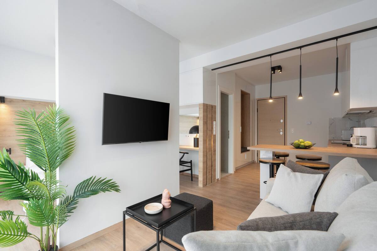 A modern living room with a flat-screen TV, a potted plant, and a sofa.