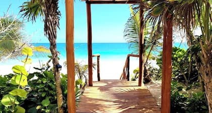 Luxury 5-BR Beachfront Home in Tulum Casa Sofia