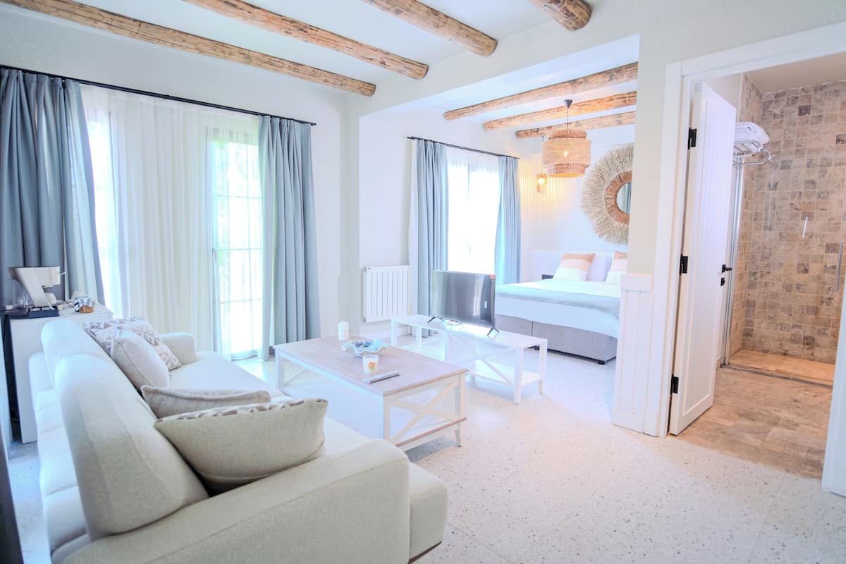 Deluxe Suite | Minibar, in-room safe, free WiFi