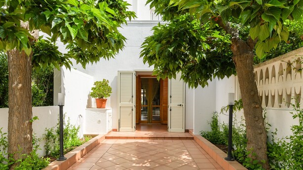 Un chemin menant à l'entrée d'un bâtiment, avec un sol carrelé et des plantes en pot de chaque côté.