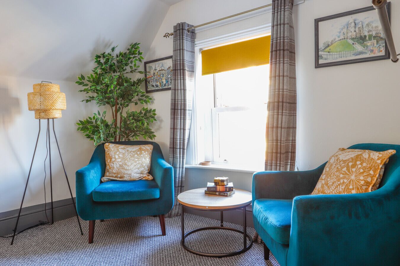 TV, DVD player, books