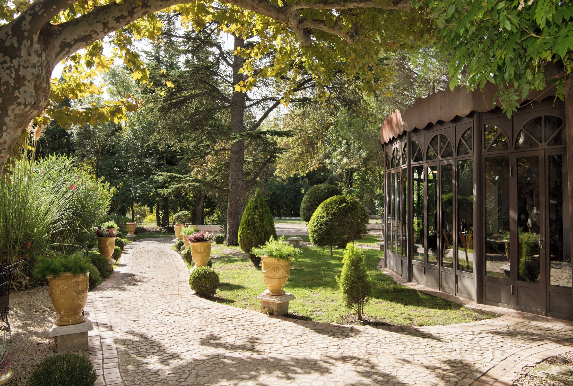 Garden