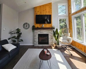 TV, fireplace, video games, offices