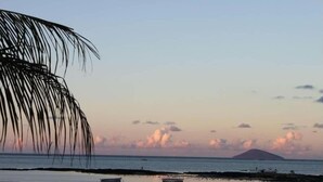 A beach with boats and a palm tree. - Résidence les Banians (Grand Gaube)