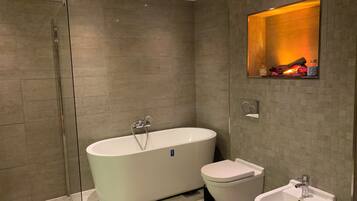 Shower, hair dryer, bidet, towels