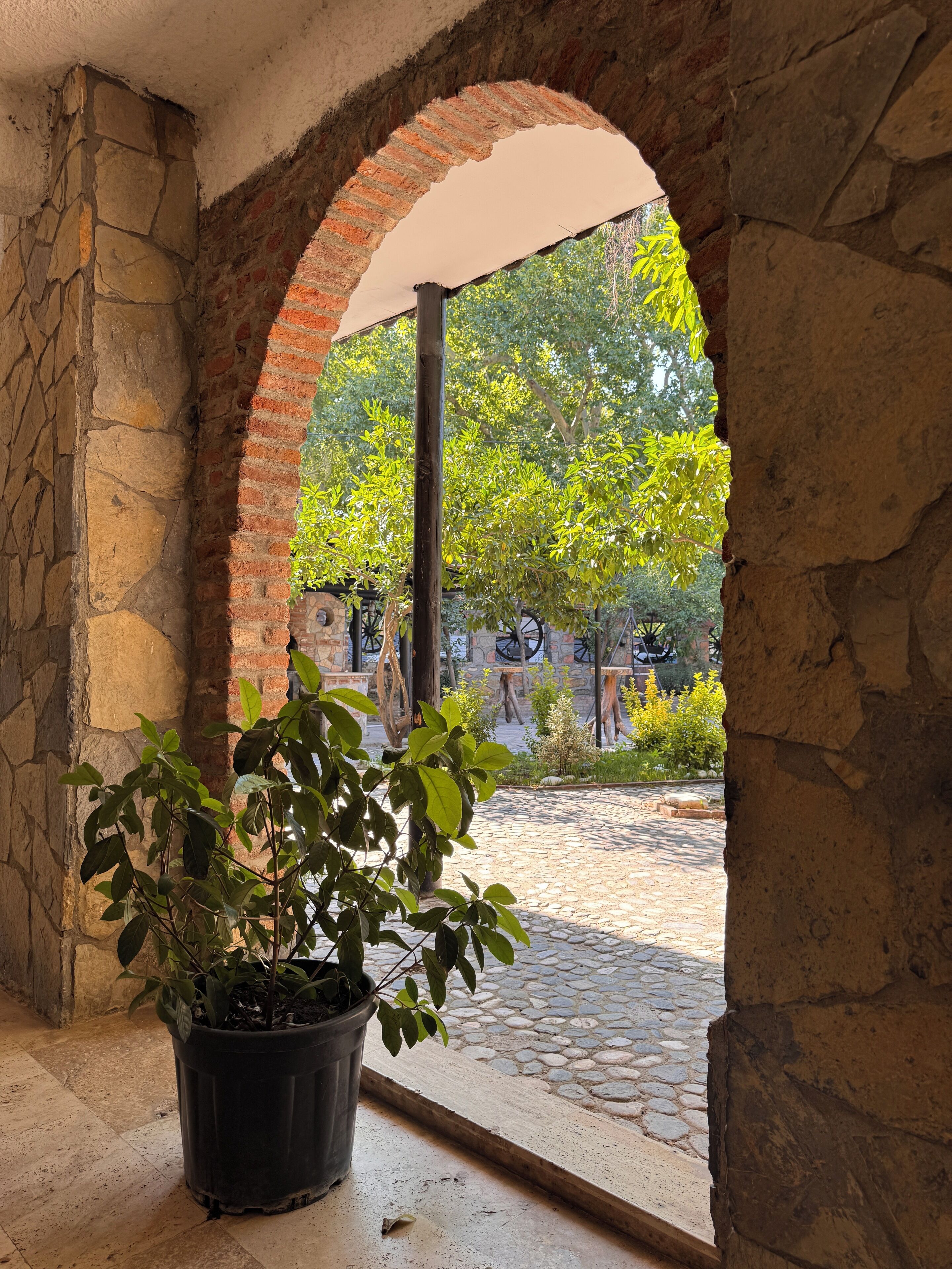 A stone archway leading to a courtyard with a potted plant in the foreground.