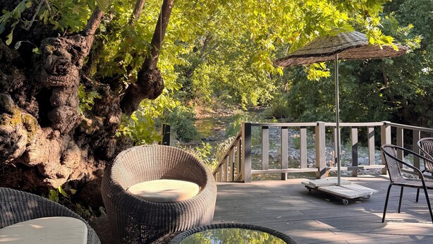 An outdoor seating area with wicker furniture and a glass-top table, surrounded by trees and a wooden deck. - Manastır Mandarin (Tahtakuslar)