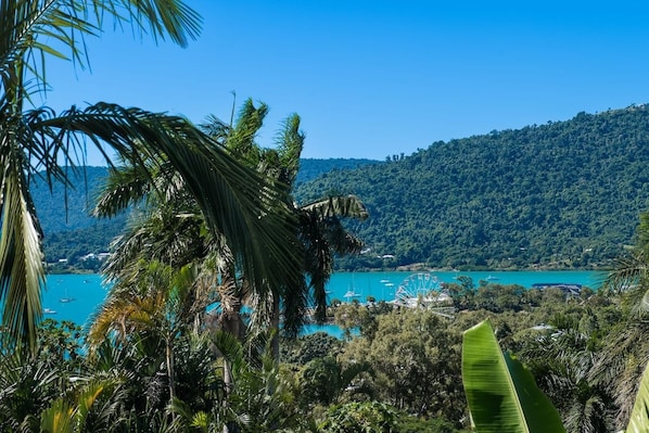 A tropical landscape with a clear view of a turquoise sea, palm trees, and a hilly backdrop.