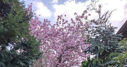 Holiday Home 'With Pool Hall' with Private Terrace, Garden and Wi-Fi