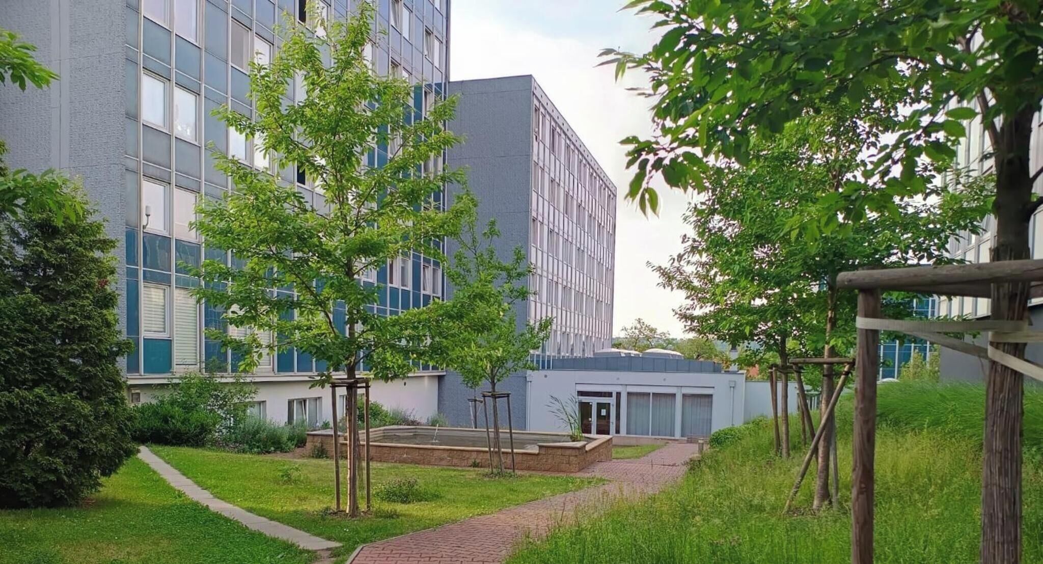 A modern building with a pathway, trees, and a small garden area.