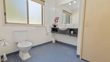 Een badkamer met toilet, wastafel en raam.