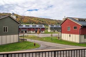 Property grounds - Across from Holiday Valley, 2 King Beds (Ellicottville)