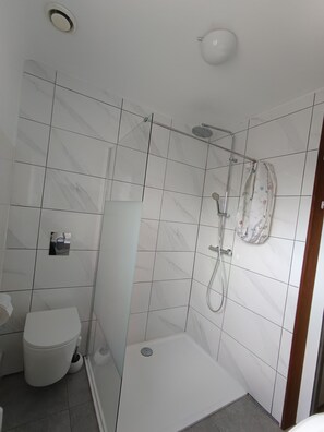 Shower, hair dryer, soap, toilet paper - Villa Laurier-Rose, Swimming pool, Petanque, 16 pers, Near lake, Ocean, Town center (Parentis-en-Born)