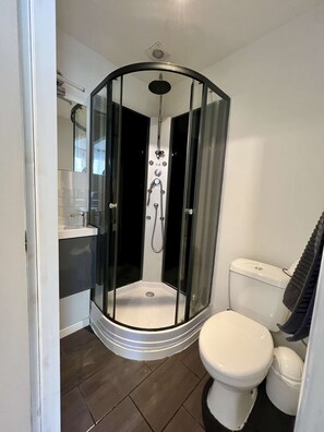 Shower, hair dryer, towels