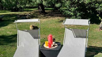 Terrein van de accommodatie