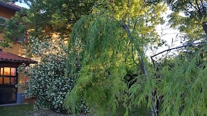 Un jardin agrémenté d’un saule pleureur, de buissons à fleurs blanches et d’un bâtiment dont le toit est recouvert de tuiles.